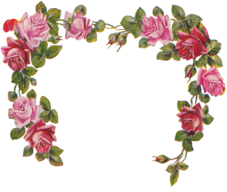Wings Of Whimsy - Floral Frame Transparent Background (730x617), Png Download