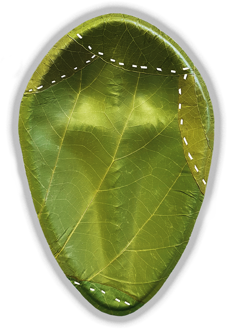 Picture Of Leaf - Crystal (1000x960), Png Download