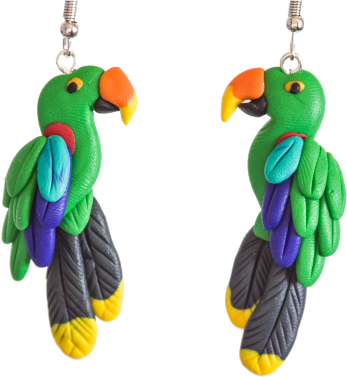 Earrings (800x800), Png Download