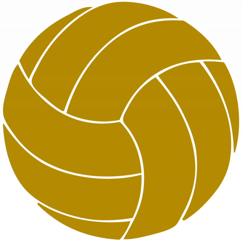 Gold Clipart Volleyball - Volleyball Clipart Transparent Background (800x796), Png Download