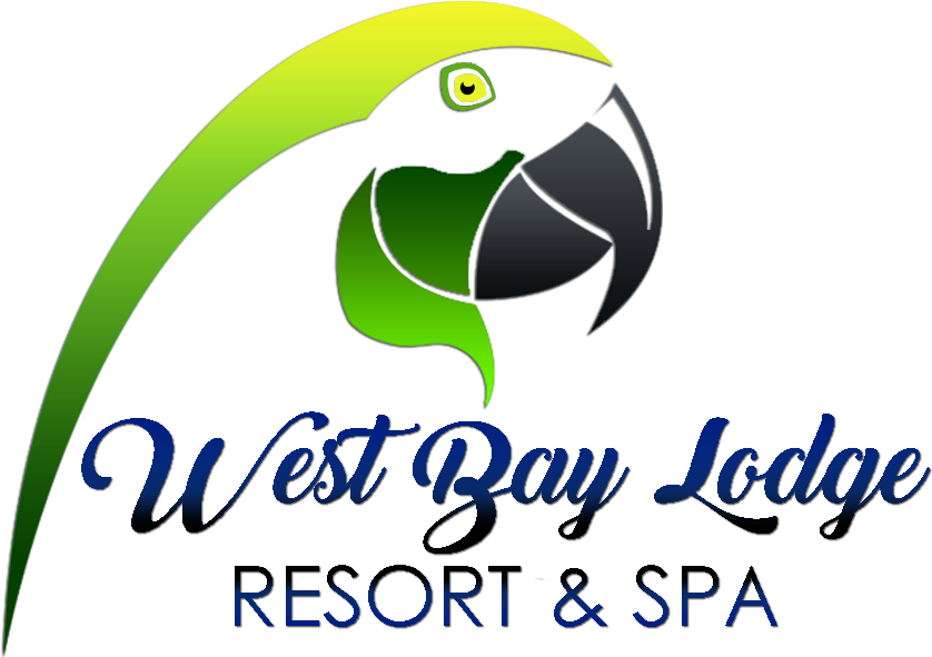 Logowebn Logowebn Logowebn Logowebn (850x590), Png Download