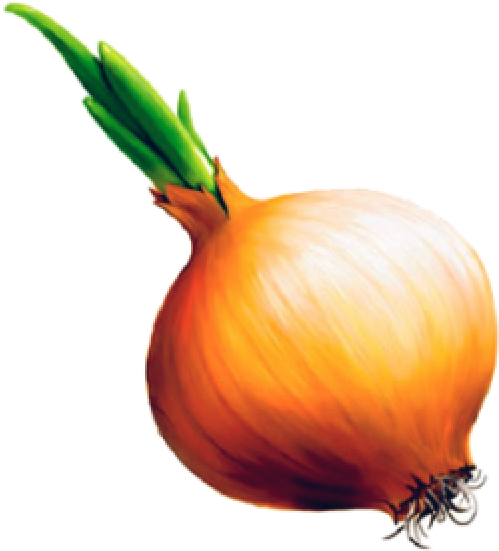 Onion Png Free Download - Детей Лук (600x556), Png Download