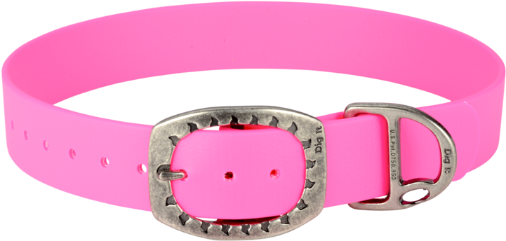 Buckle (1000x668), Png Download