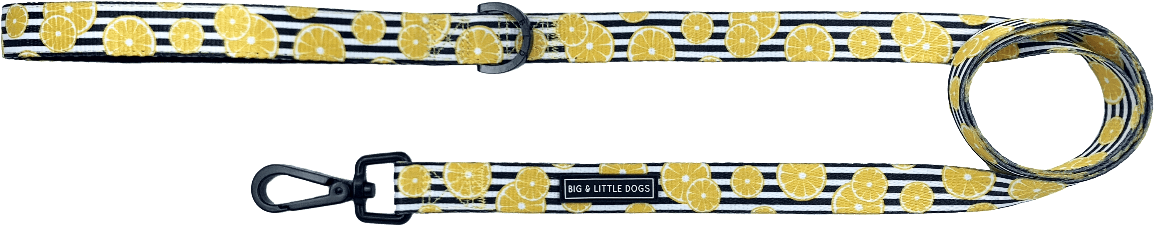 You're The Zest - Belt (4032x1026), Png Download