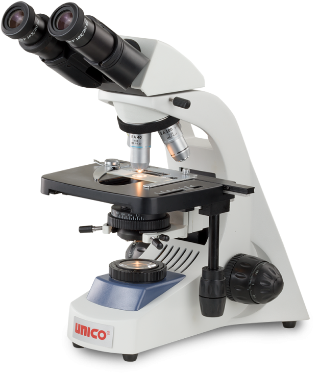 Download As Pdf - Motic Microscope (800x800), Png Download