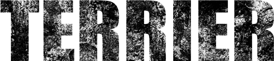 Terrier - Monochrome (1000x415), Png Download