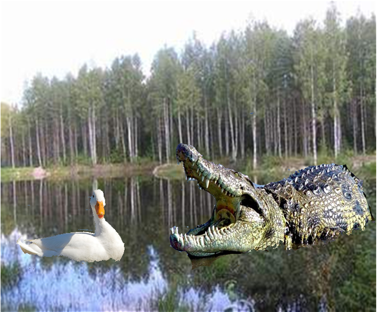 Collect This Art Michelleee - Bosque Monzónico (1000x1000), Png Download