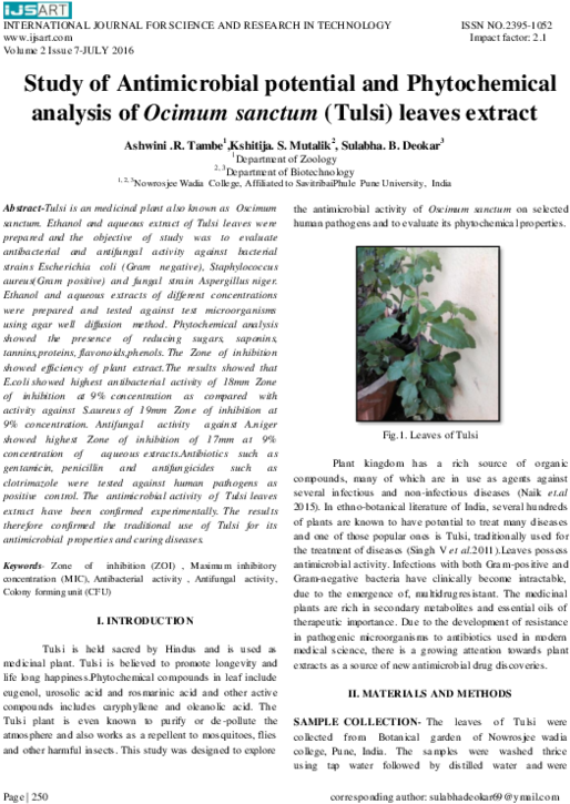 Pdf - Tree (600x776), Png Download