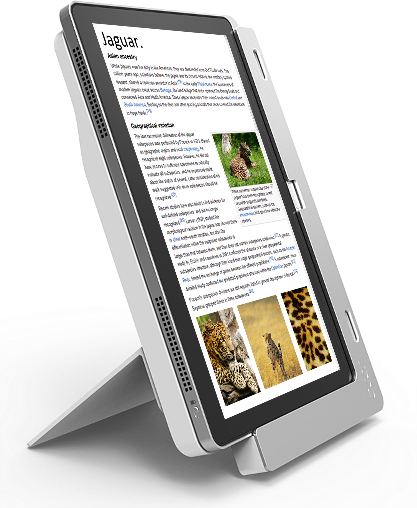Acer W700 Image By Acer - Tablet Computer (1395x1804), Png Download