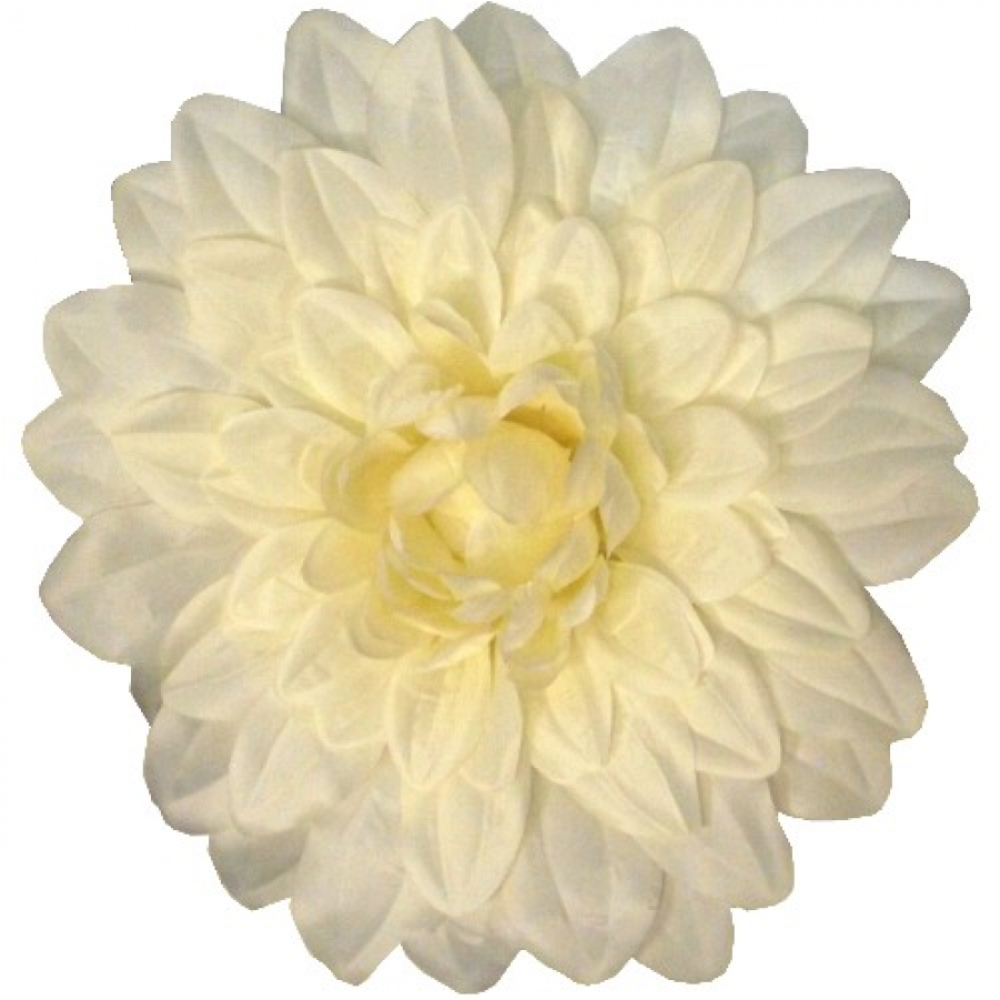 Giant Flower - Ivory Dahlia - Large 35cm - Adhesive - Dahlia (900x1115), Png Download