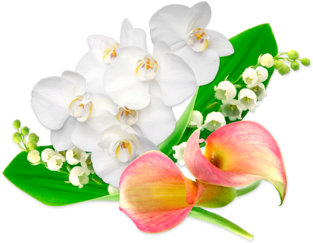 Orchid Lily Sticks - Artificial Flower (700x700), Png Download