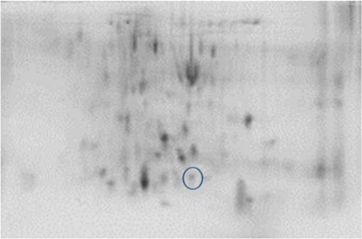 2 De Of Tcn Group On Pb 2 Chicks - Monochrome (850x502), Png Download