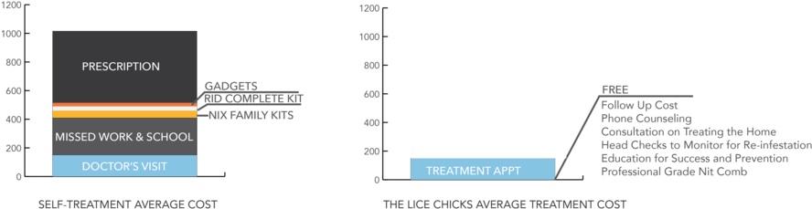 Licechicks-01 - Diagram (1000x367), Png Download