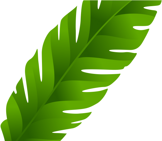 Leaf Clipart Coconut Tree - Banana Leaves Clip Art (640x480), Png Download