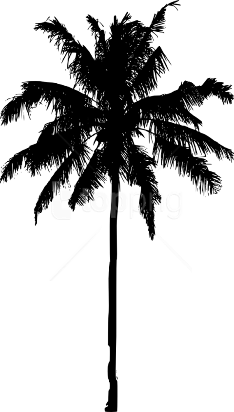 Free Png Palm Tree Silhouette Png Images Transparent - Palm Tree Silhouette Png (480x846), Png Download