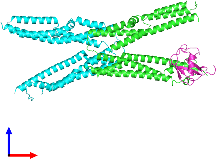 Pdb 4jio Coloured By Chain And Viewed From The Front - Illustration (800x800), Png Download