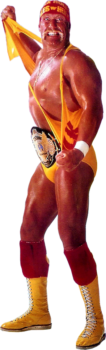 Seizing The Moment, Savage Climbed To The Top Turnbuckle, - Flash (343x1132), Png Download