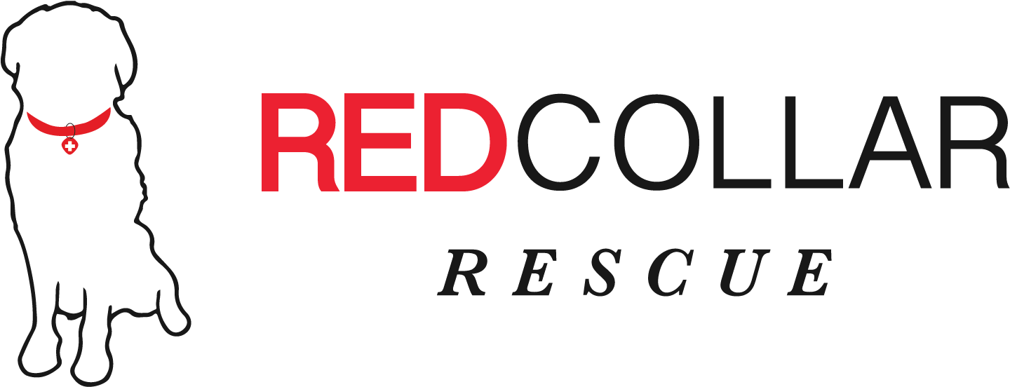Redcollar Rescue Header Image - Carmine (1513x589), Png Download