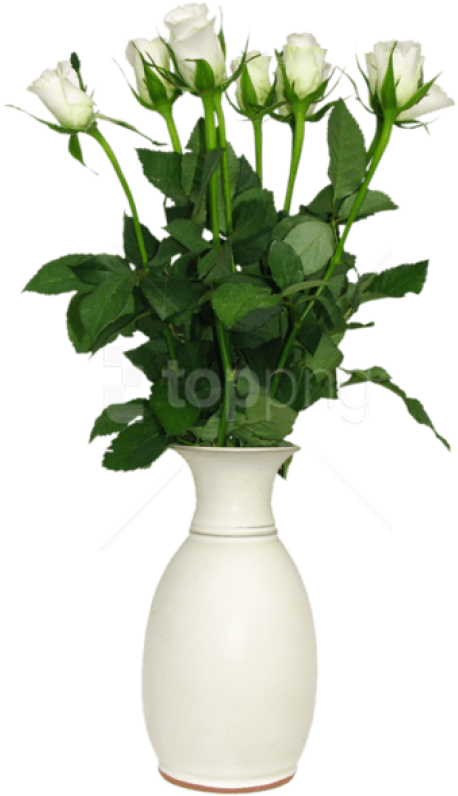 Free Png Download Transparent White Rose In Vase Picture - White Vase Flower Png (480x812), Png Download