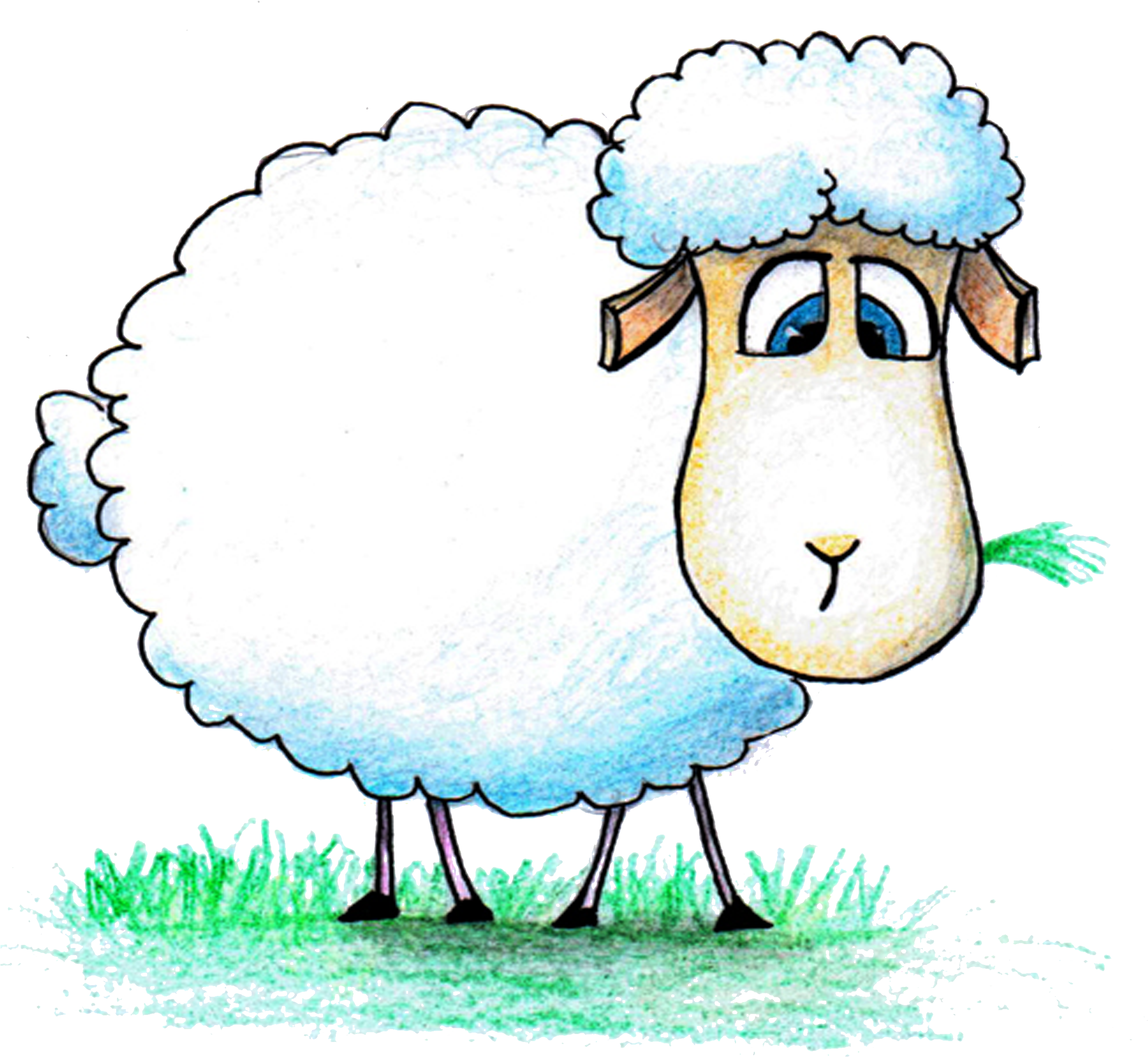 Paper Goat Al Drawing Transprent Aladha Png Ⓒ - Sheep (3000x3000), Png Download