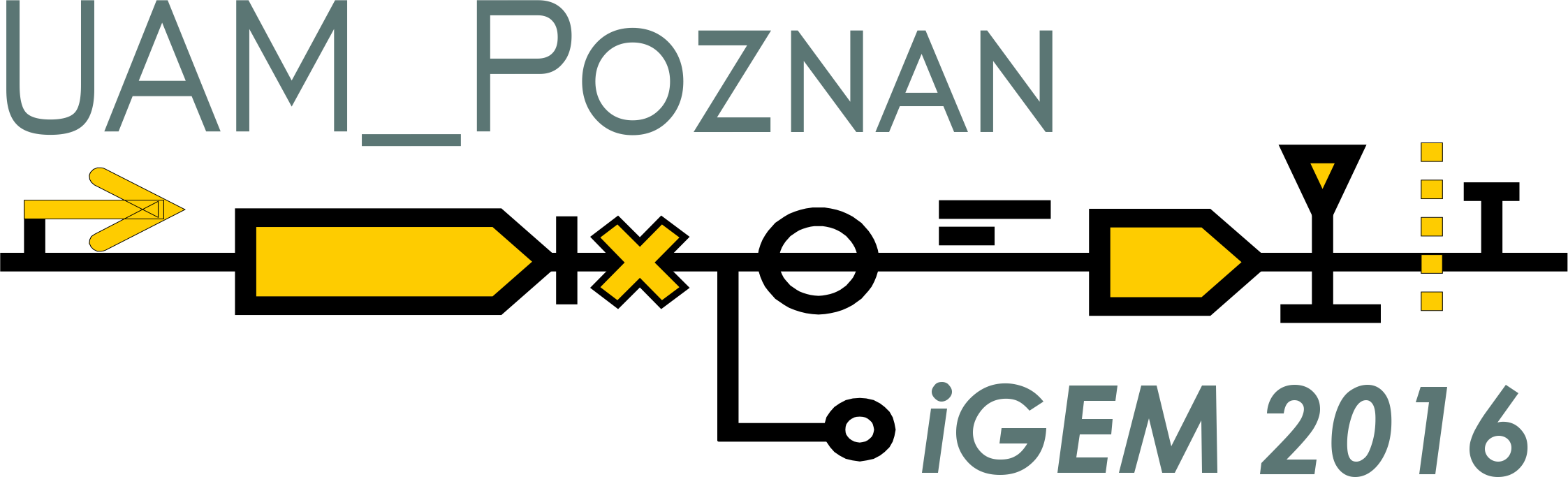 Logo - Graphic Design (2245x683), Png Download