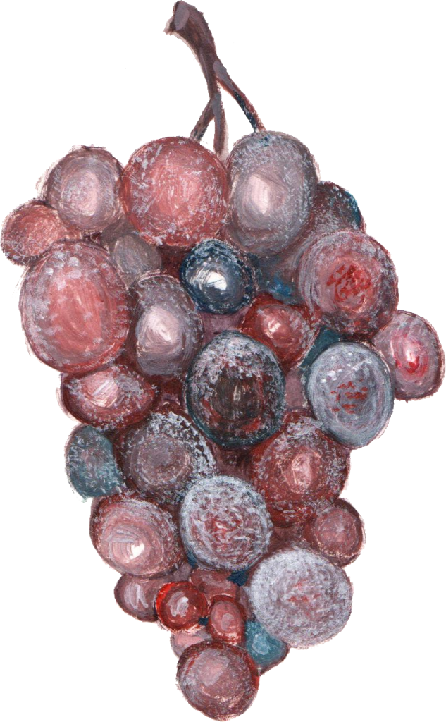 Png File Size - Seedless Fruit (633x1024), Png Download