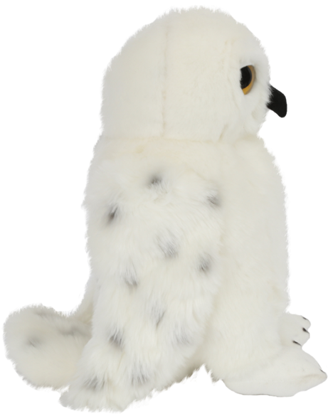 Snowy Owl (528x600), Png Download