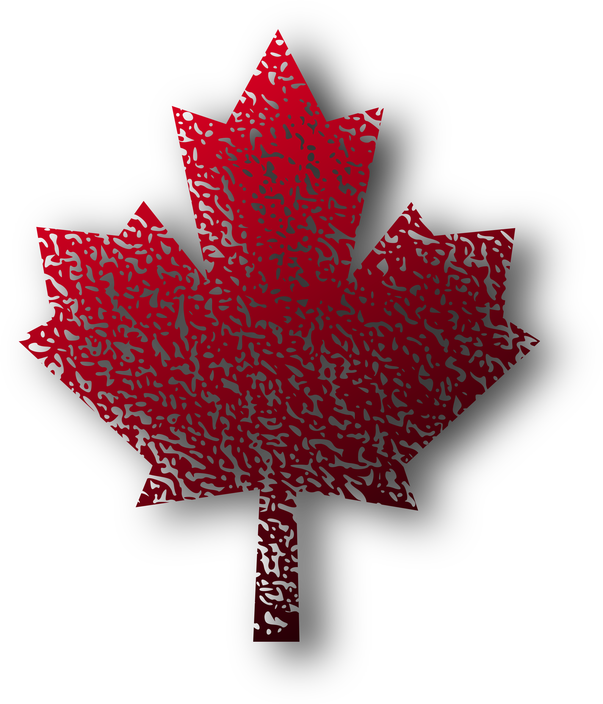 Clipart - Feuille D Érable Canada (2095x2400), Png Download
