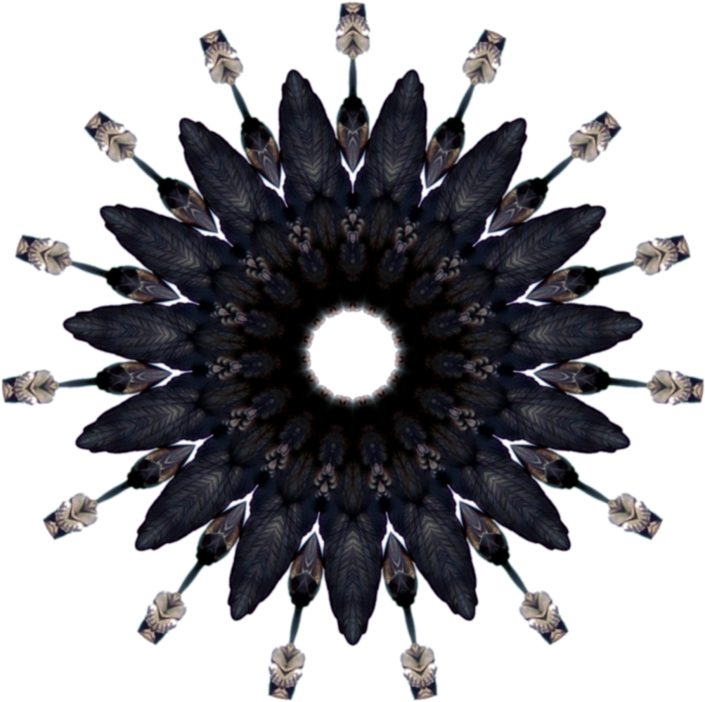 Sea Witch Of Gypsy Cove - Feather Circle (1024x1024), Png Download