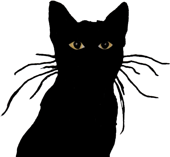 'half-life,' 'portal' Writer And Riot Dev Form Seattle - Black Cat (762x534), Png Download