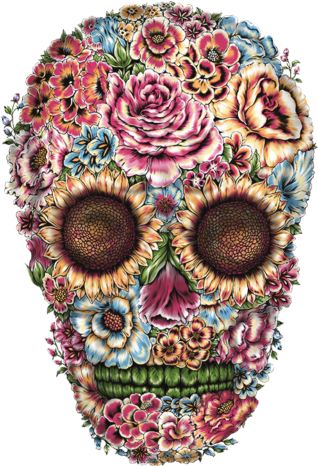 Calavera (675x675), Png Download