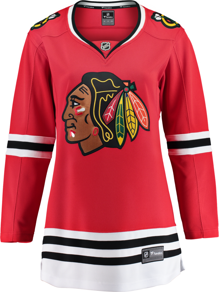 Chicago Blackhawks (766x1023), Png Download