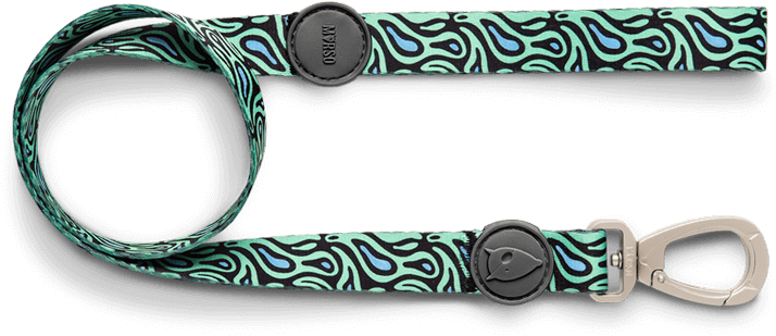 Previousnext - Strap (720x481), Png Download