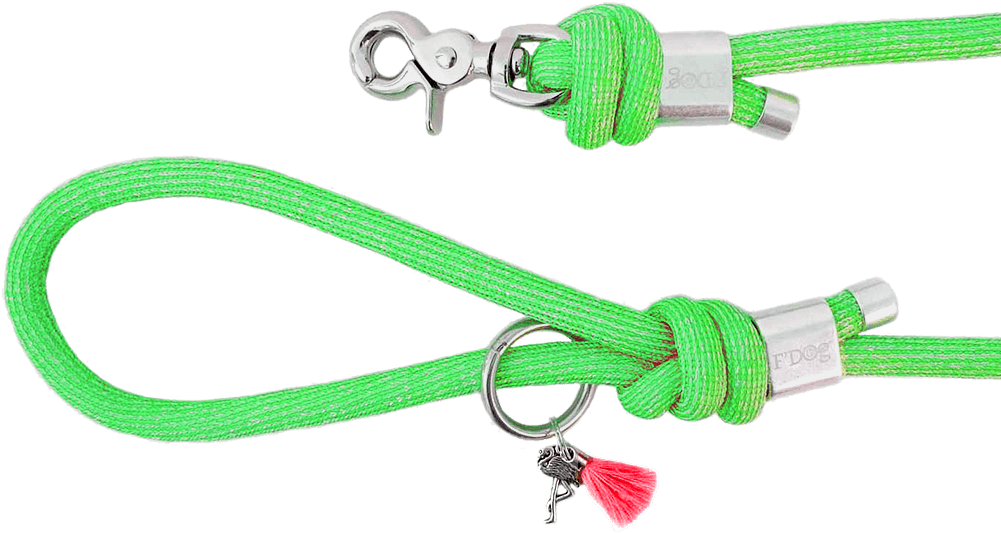 Dog Leash "green" - Strap (1000x750), Png Download