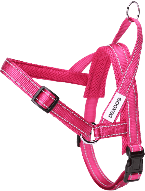 How To Fit Dog Harness - Pet Harness (500x660), Png Download