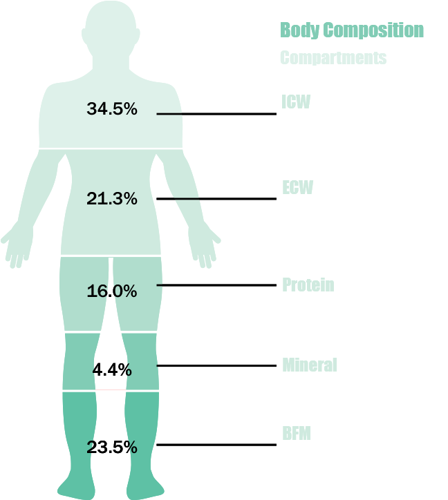 Dedication Of Bioelectric Impedance Analysis - Male (675x735), Png Download