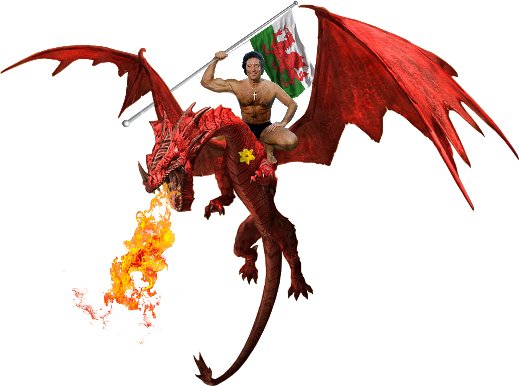 Tom Jones, Waving A Welsh Flag, On A Dragon Which Is - Dragon Images Png (1920x1531), Png Download