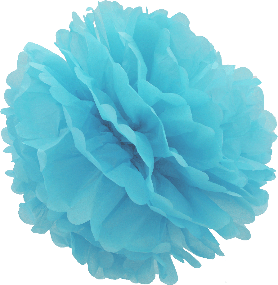 Prev - Violet Tissue Pom Pom (1000x984), Png Download