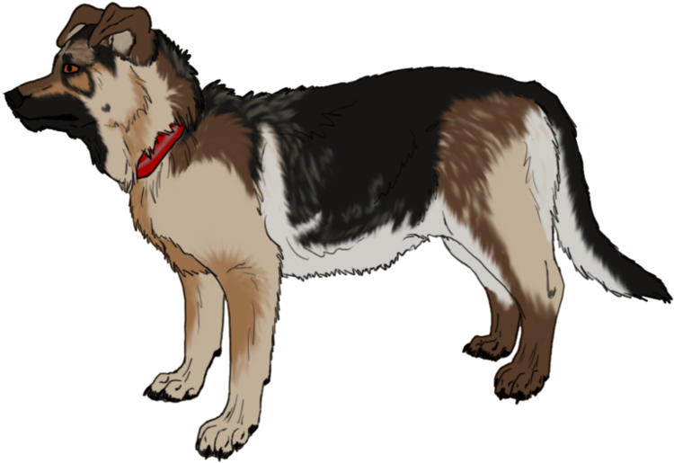 Go To Image - Dog Yawns (999x799), Png Download