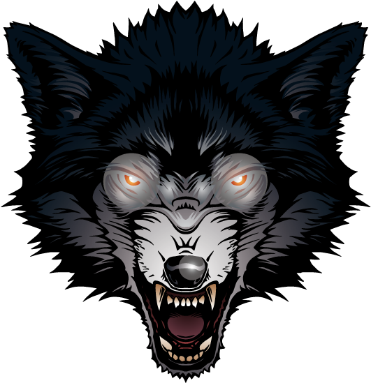 Gray Big Bad Ferocious Transprent Png Free - หมาป่า Png (567x567), Png Download
