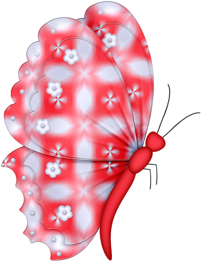 ‿✿⁀butterflies‿✿⁀ - Heart (819x1024), Png Download