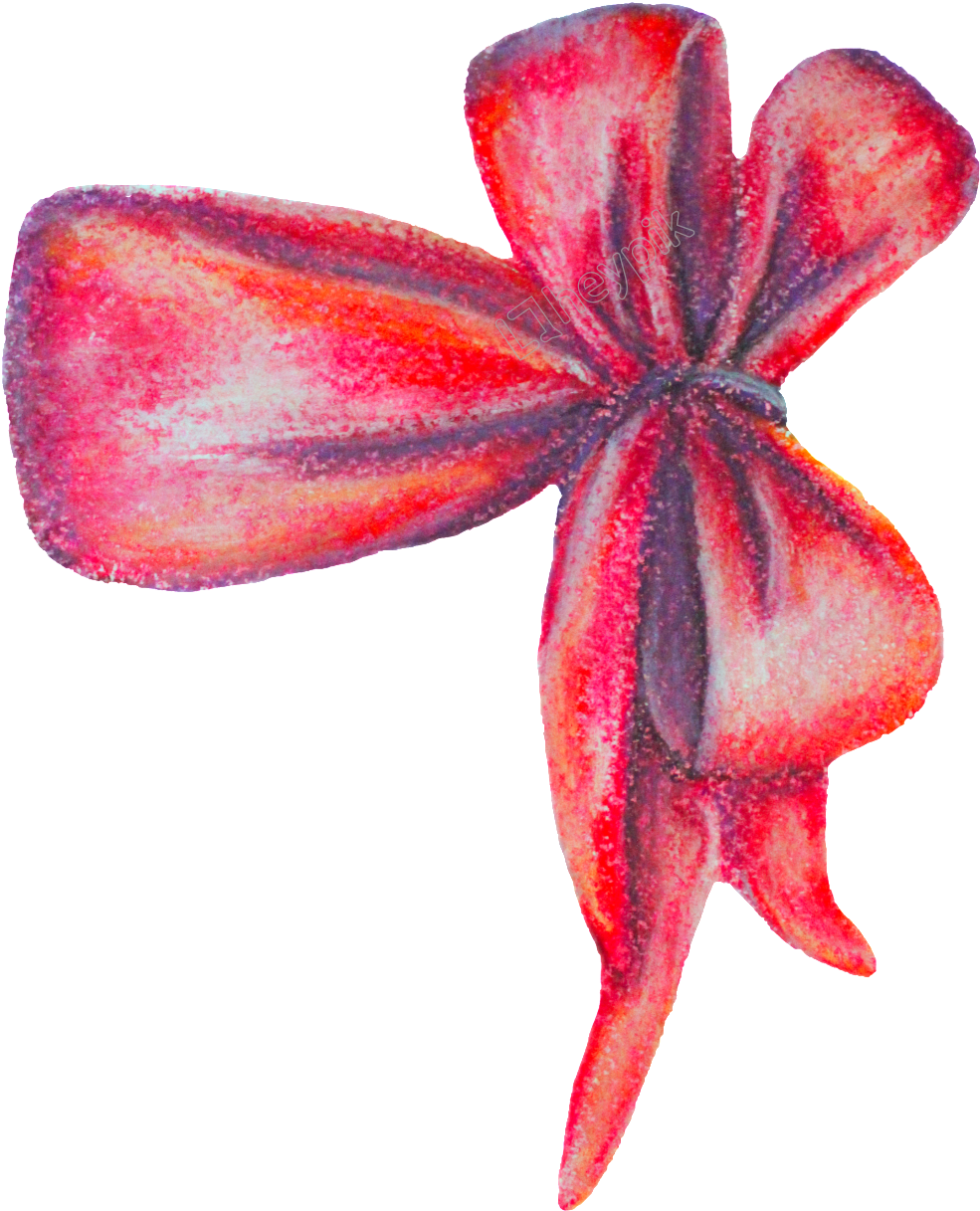 1024 X 1232 3 - Lily (1024x1232), Png Download