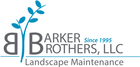 Barker Brothers - Liberty Life (900x431), Png Download