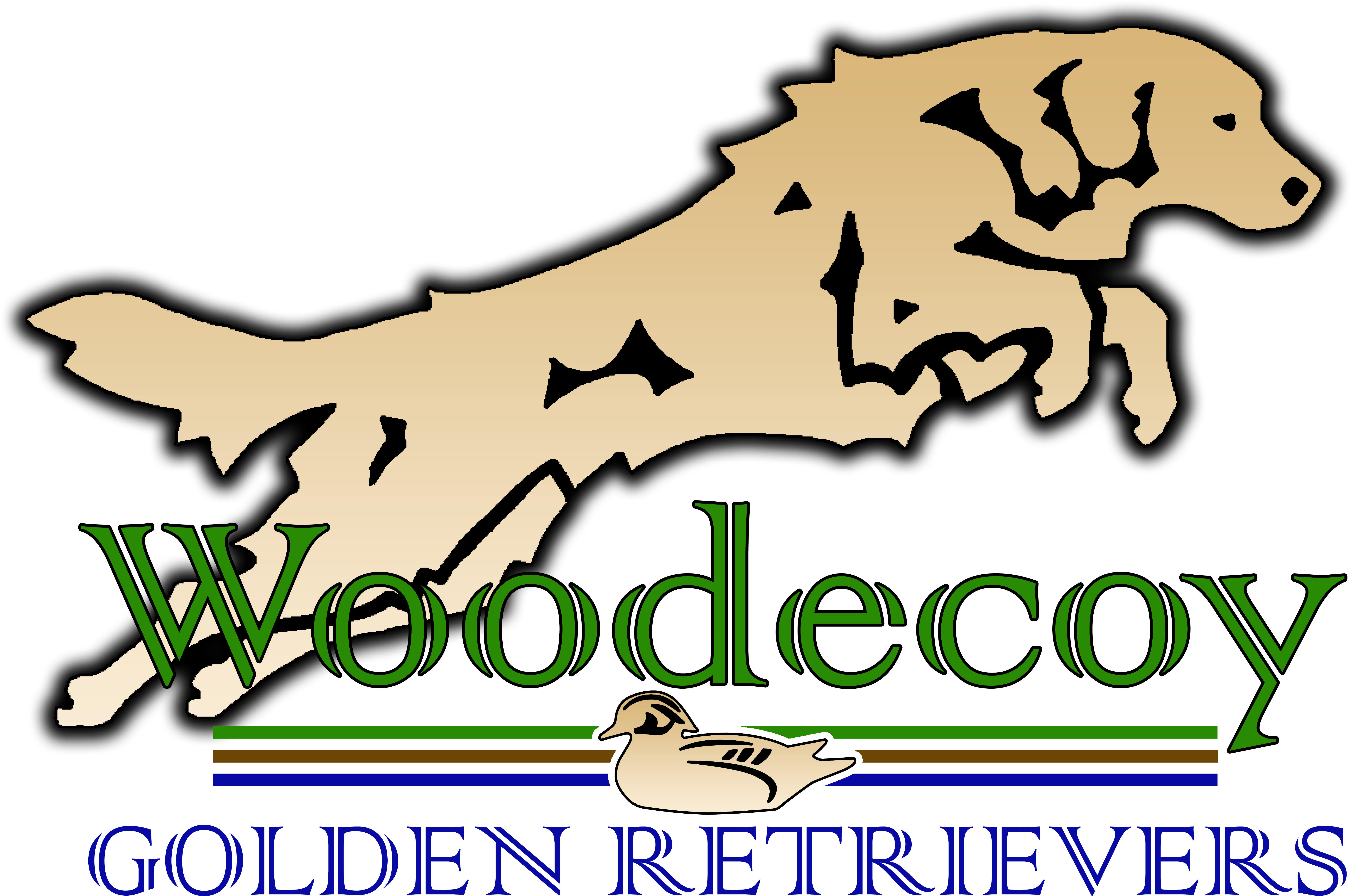 Danette Weich Dvm Obtained Her First Golden Retriever - Dog (7418x4935), Png Download