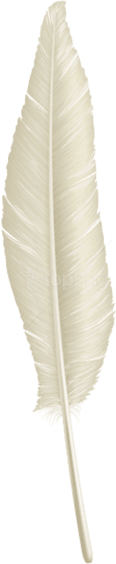 Free Png Download White Feather Transparent Clipart - Thread (480x1883), Png Download
