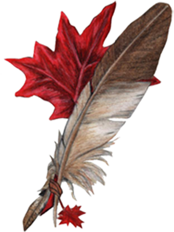Clip Art Related Wings Transprent Png Free - Feathers (800x800), Png Download