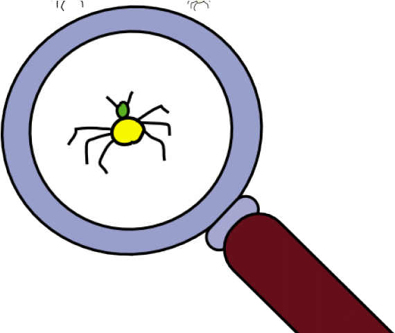 Investigation Cliparts - Clip Art (640x480), Png Download