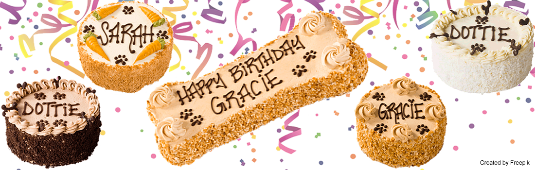 Three Dog Bakery Indianapolis - 60th Surprise Birthday Invitation Wording (1100x350), Png Download