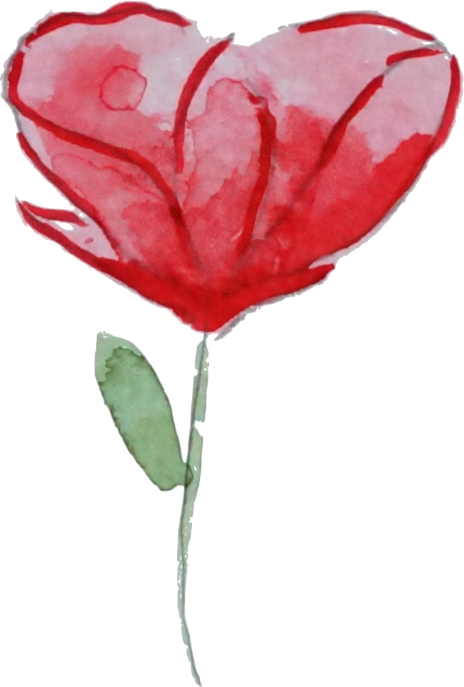 Flower Garden Roses Watercolor Painting Poppy Clip - Garden Roses (677x1003), Png Download