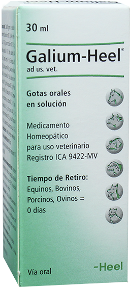 Galium Heel Vet Gotas 30 Ml - Heel (600x600), Png Download